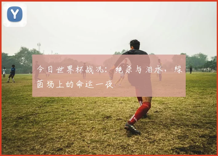 今日世界杯战况：绝杀与泪水，绿茵场上的命运一夜
