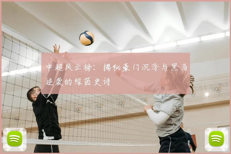 中超风云榜：揭秘豪门沉浮与黑马逆袭的绿茵史诗